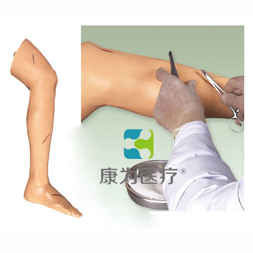 日喀则“康为医疗”高级外科缝合腿肢模型