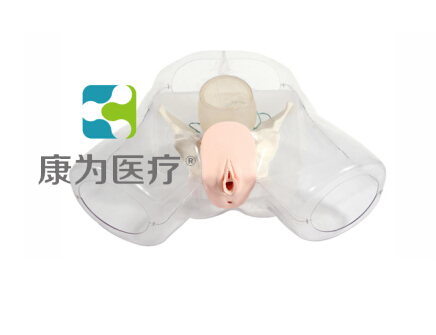 博乐“康为医疗”女性宫腔电切模型