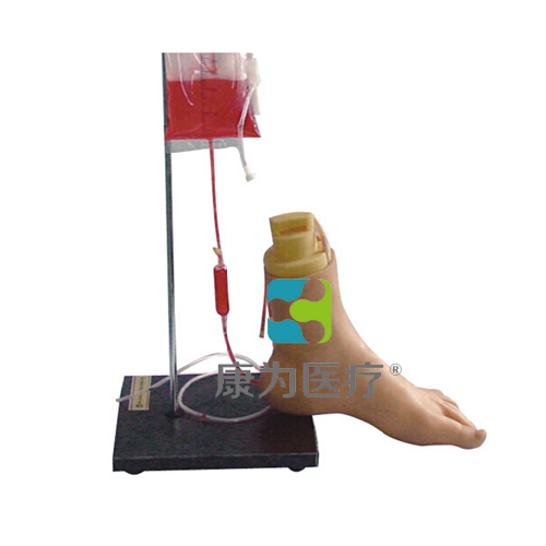 博乐“康为医疗”下肢足部静脉注射仿真模型