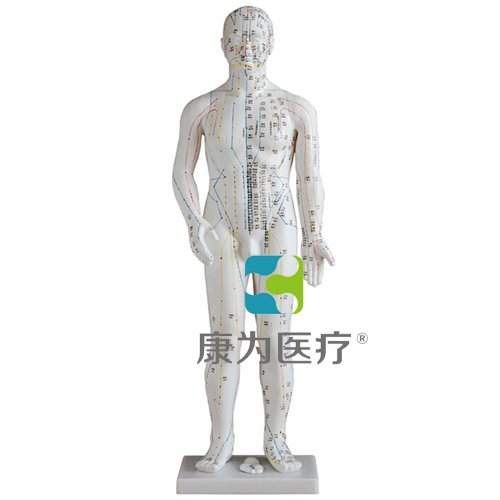 昌吉“康为医疗”人体针灸模型60CM