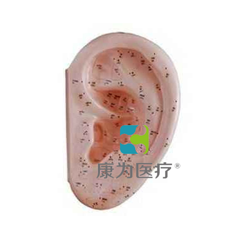 克拉玛依“康为医疗”耳针灸模型40CM