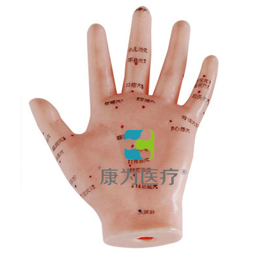 吐鲁番“康为医疗”手针灸模型13CM