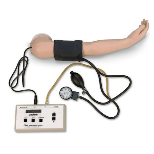 德国3B Scientific®血压手臂模型- 5岁大儿童