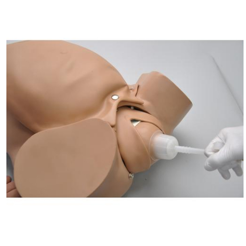德国3B Scientific®胎儿模拟，供练习吸出分娩术