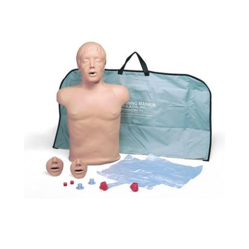 德国3B Scientific®心肺复苏（CPR）躯干模型