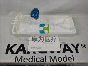 IM8231冠脉微创手术介入模拟训练模型系统
