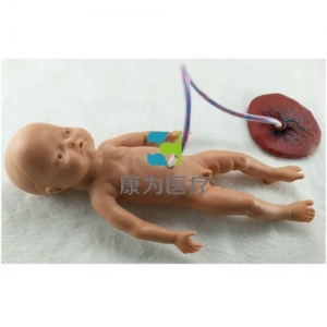 “康为医疗”高级出生婴儿脐带护理模型(女婴)脐带护理标准化模拟病人(女婴)脐带护理模拟人