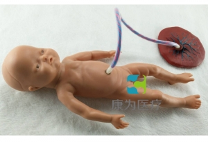 “康为医疗”高级出生婴儿脐带护理模型(女婴)脐带护理标准化模拟病人(女婴)