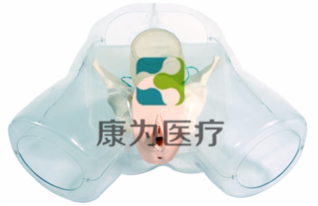 女性宫腔断层电切模拟器